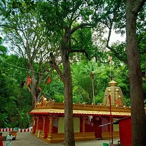 Papavinasanam Teertham Tirumala